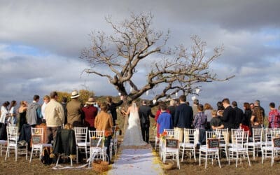 Wildlife and Weddings: Capturing Your Love Story Amongst Nature