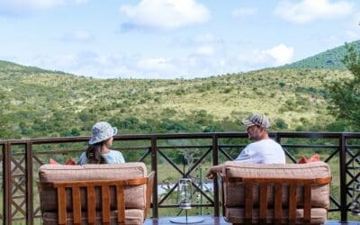 The seasons of the year and what to expect at Thanda Safari