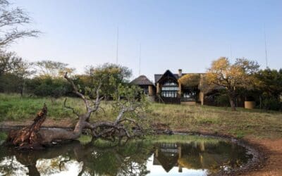  Safari Holidays from the UK: Luxury Adventure