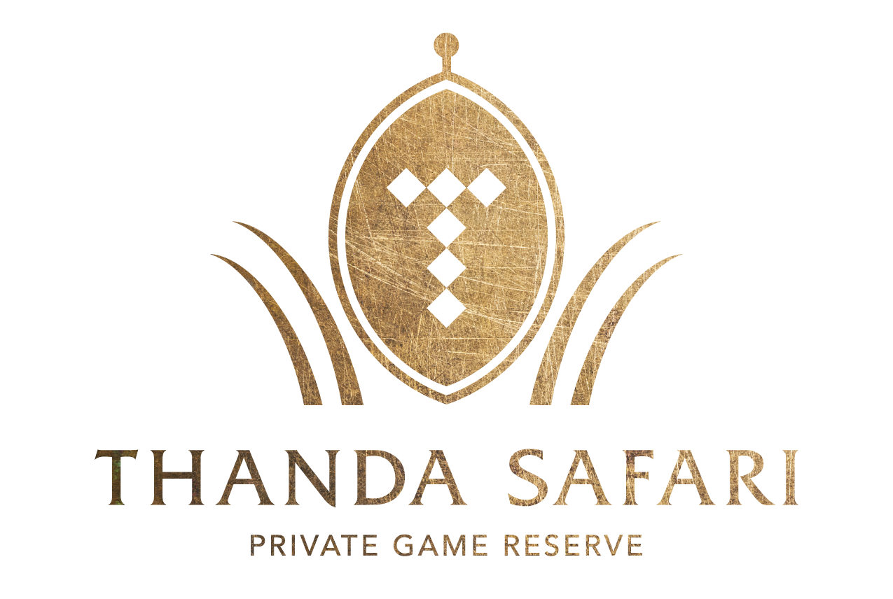luxury safari lodges south africa