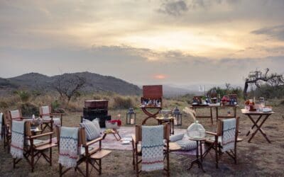 The Luxury of the Wild: Inside Private Game Reserve Experiences